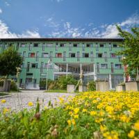 Kolpinghaus Salzburg - SommerHOSTEL，位于萨尔茨堡伊兹林的酒店