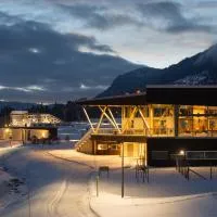 Topcamp Hallingdal - Ål，位于奥尔的酒店