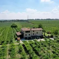 Corte Odorico，位于佩德蒙特的酒店