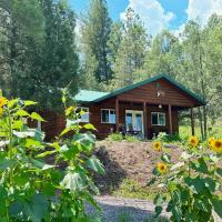 Salt Creek Cabin In The Gila，位于Mimbres格兰特县机场 - SVC附近的酒店