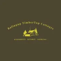 Balingup TimberTop Cottages，位于巴林的酒店