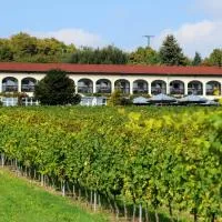 Hotel Rebschule，位于弗赖堡的酒店