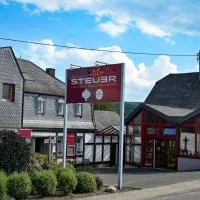 施德耶尔酒店，位于Allenbach的酒店