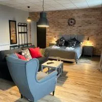 Apartamenty Skierniewice Mireckiego，位于斯凯尔涅维采的酒店
