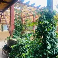 Green houseجوهره الشمال，位于阿杰隆的酒店