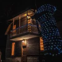 Feel Funny House Svaneti,位于Kʼveda Marghi的酒店