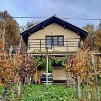 Vineyard cottage Kulovec，位于Uršna Sela的酒店