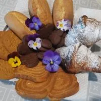Il Colibrì Bed&Breakfast，位于莱诺的酒店