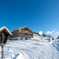 Starkenfeldhütte，位于罗登戈的酒店
