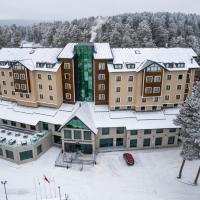 SARPİNO MOUNTAİN HOTEL，位于Sarıkamıs的酒店