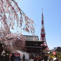 Mochida's Guest House，位于东京练马的酒店