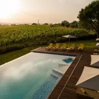 Roccafiore Wine Resort & Spa，位于托迪的酒店