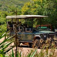 Garden Route Safari Camp，位于莫塞尔湾的酒店