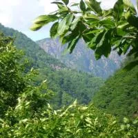 B&B CA' DEL PITUR CICOGNA，位于Cicogna的酒店