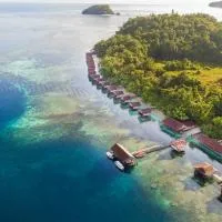 Papua Paradise Eco Resort,位于Pulau Birie的酒店