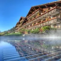 艾米塔格健康Spa酒店，位于格施塔德的酒店