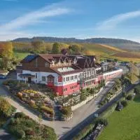 Wo der Hahn kräht,位于Flein的酒店