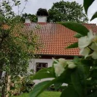 Żywkowo Bocianie Gospodarstwo Rolne，位于Górowo Iławeckie的酒店