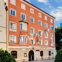 Altstadt- und Businesshotel Pfaubräu - Brauereigasthof - Frühstücksbuffet - kostenfreie Radgarage - Hunde willkommen,位于特罗斯特贝格安德尔阿尔兹的酒店