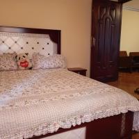 Fully furnished condo in the center of addis ababa，位于亚的斯亚贝巴Piazza的酒店