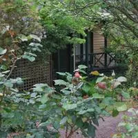 利菲尔德小屋住宿加早餐旅馆，位于Dixons Creek的酒店