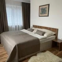 Sobe Djurdjevic，位于Zatonje的酒店