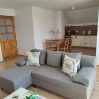 Apartament za lasem，位于Kaliska Kościerskie的酒店