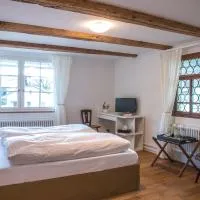 3 Sterne Boutique Gasthaus Pöstli，位于Rifferswil的酒店