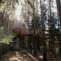 Nature calls - tree tents，位于Būtingė的酒店