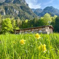 Rifugio Pian dei Ciclamini，位于Lusevera的酒店