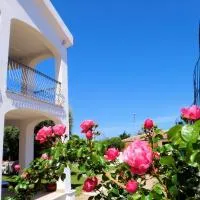 Hotel La Tartaruga Bianca，位于瓦雷多利亚的酒店