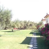 Phyllida Guest House - M3,位于扎哈罗的酒店