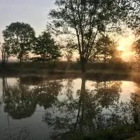 DOMAINE DES GALLINACES CHALET SUSSEX 2-4p，位于Marigny-lès-Reullée的酒店
