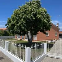 Moradia alegre no centro da Vila da Tocha.，位于托沙的酒店