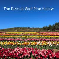 Luxury Farm Stay at The Lodge at Wolf Pine Hollow，位于Hancock的酒店