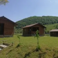 Căsuțe Zăvoi Bulz，位于Bulz的酒店