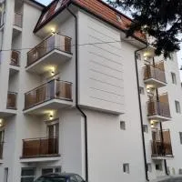 Vila Pčelica Petra,位于索科矿泉村的酒店