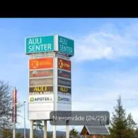 4-mannsbolig sentralt i Auli，位于Nes的酒店