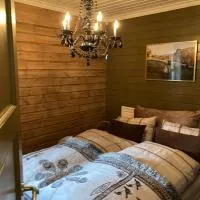 Lun og koselig hytte med sauna på Filefjell,位于Tyinkrysset的酒店
