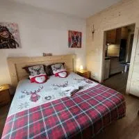 Gîte Myosotis, studio 2 personnes, avec salle de jeux et SPA dans la résidence,位于旺特龙的酒店
