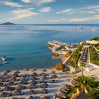 Design Plus Seya Beach Hotel，位于阿拉恰特的酒店