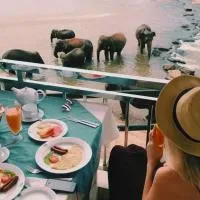 Hotel Elephant Park - Most Elephant Bathing View Rooms in Pinnawala,位于平纳瓦拉的酒店