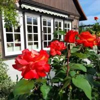 Ferienhaus Gartower See,位于Gartow的酒店