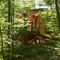 La cabane aux écureuils，位于菲利普维尔的酒店