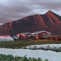 Rustic Farmhouse - Narfasel，位于阿克拉内斯的酒店