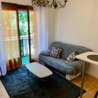 Agréable appartement 2 pieces a forbach avec Garage fermé - check in autonome，位于福尔巴克的酒店