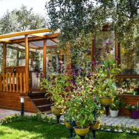 Tiny House Village，位于İznik布尔萨机场 - YEI附近的酒店