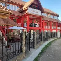 Pensiunea Anisoara，位于Chişcău的酒店