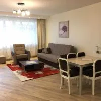 Spacious Apartment in Kintai，位于Kintai的酒店