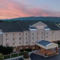Fairfield Inn & Suites Roanoke Hollins/I-81，位于罗阿诺的酒店